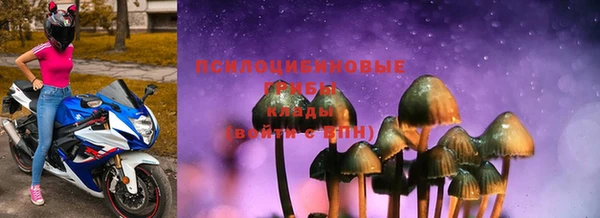 ПСИЛОЦИБИНОВЫЕ ГРИБЫ Бородино
