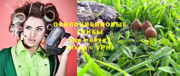ПСИЛОЦИБИНОВЫЕ ГРИБЫ Бородино