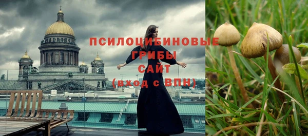 сатива Бугульма