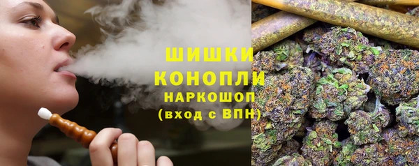 ПСИЛОЦИБИНОВЫЕ ГРИБЫ Бородино