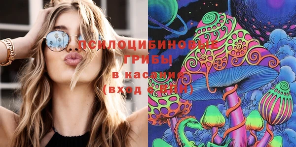 ПСИЛОЦИБИНОВЫЕ ГРИБЫ Бородино