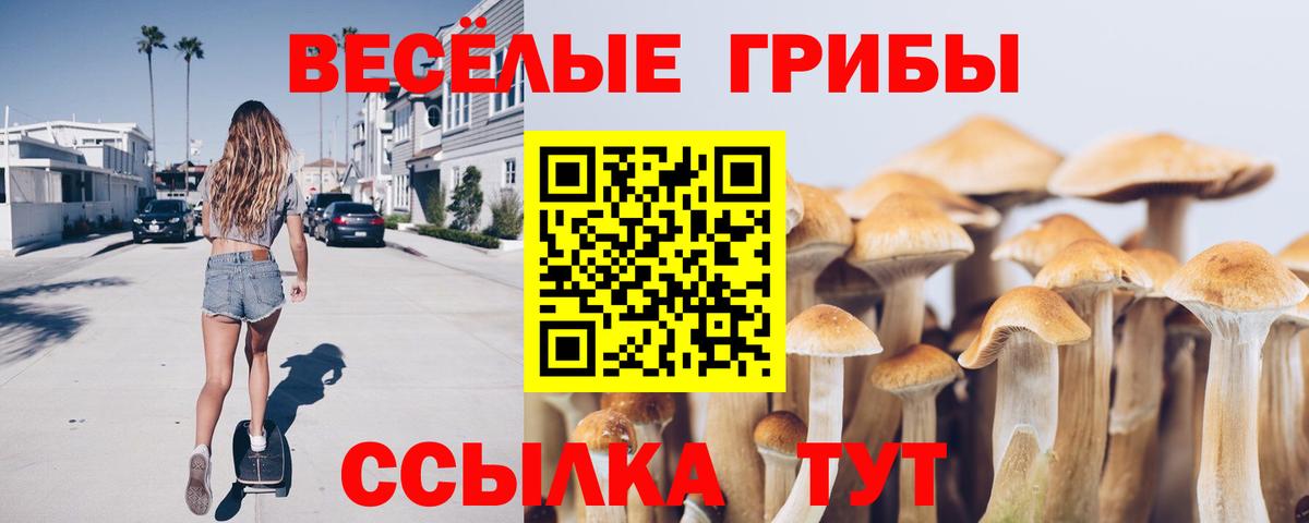 Галлюциногенные грибы Cubensis Буйнакск